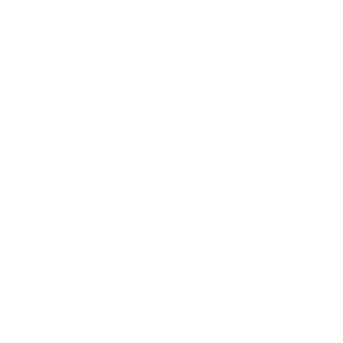 Bud Light