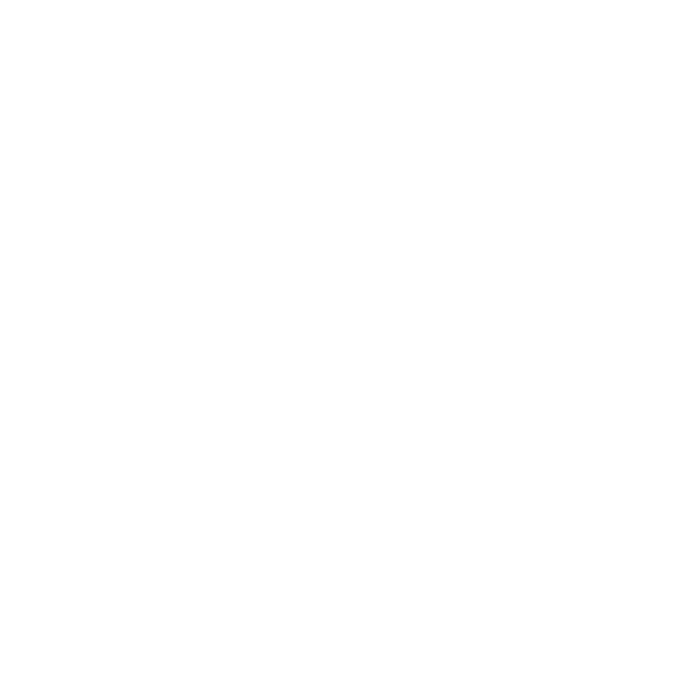 Soulard Mardi Gras Logo