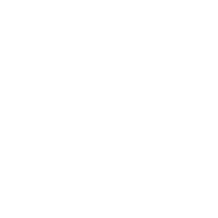 Union Station Logo