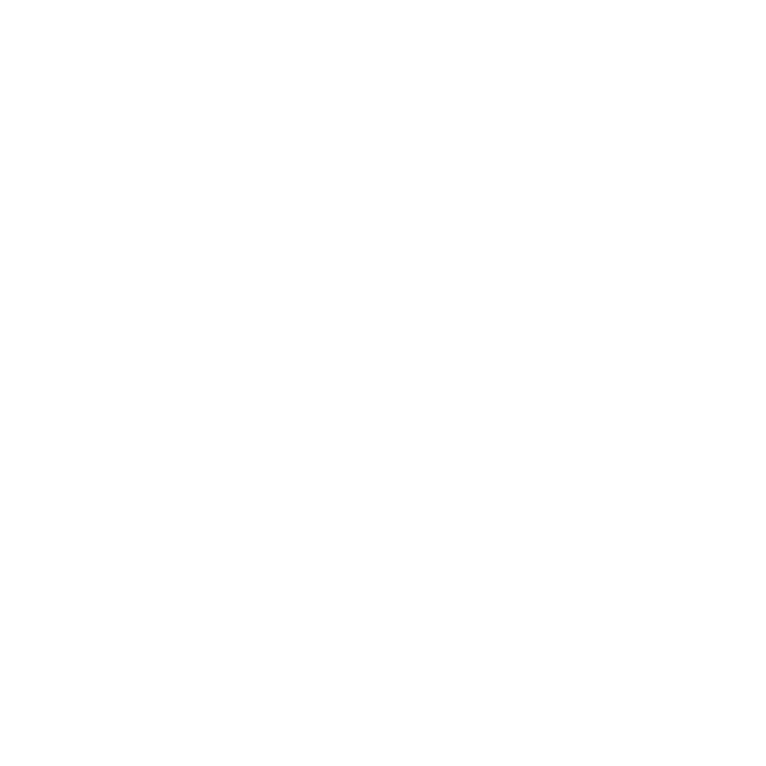 DR MCGILLICUDDY